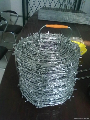 Galvanized Reverse Twist Barbed Wire Fence Hot Dip Galvanized BWG14xBWG14
